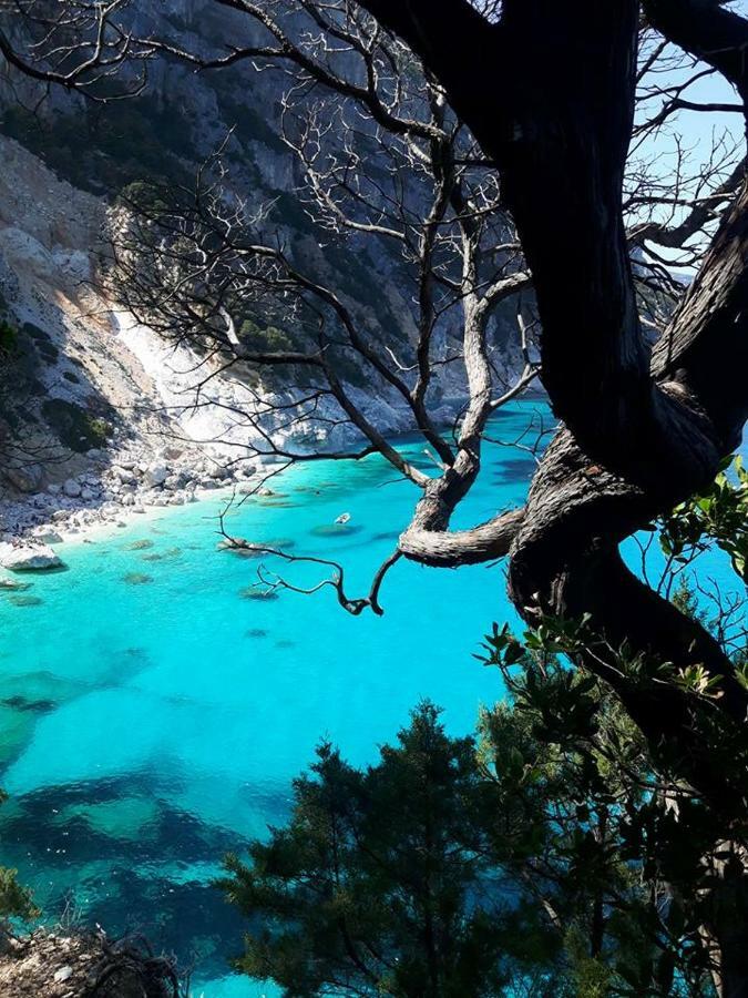 Casa Il Cortile Fiorito Apartman Tortolì Kültér fotó
